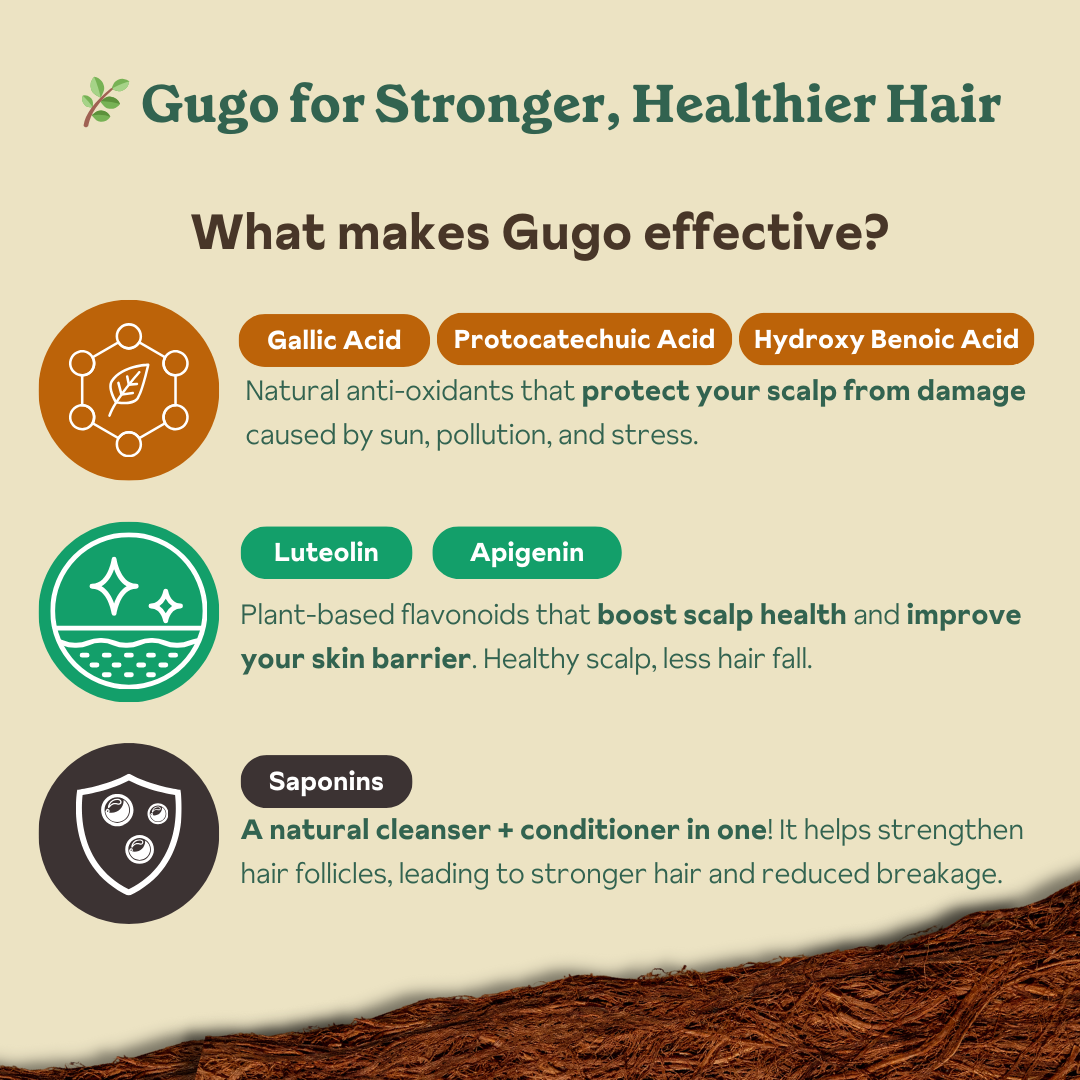 Zenutrients Gugo Strengthening Shampoo (Reduces Hairfall, Natural, Sulfate Free, Paraben Free)